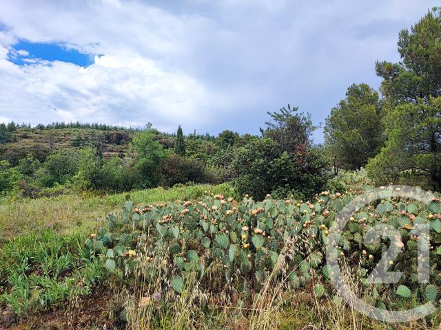 terrain à vendre - 1013.0 m2 - FELINES MINERVOIS - 34 - LANGUEDOC-ROUSSILLON - Century 21 Agence Du Canal