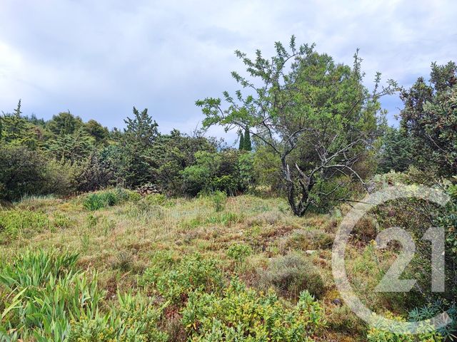 terrain à vendre - 1013.0 m2 - FELINES MINERVOIS - 34 - LANGUEDOC-ROUSSILLON - Century 21 Agence Du Canal