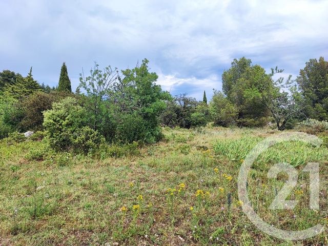terrain à vendre - 1013.0 m2 - FELINES MINERVOIS - 34 - LANGUEDOC-ROUSSILLON - Century 21 Agence Du Canal