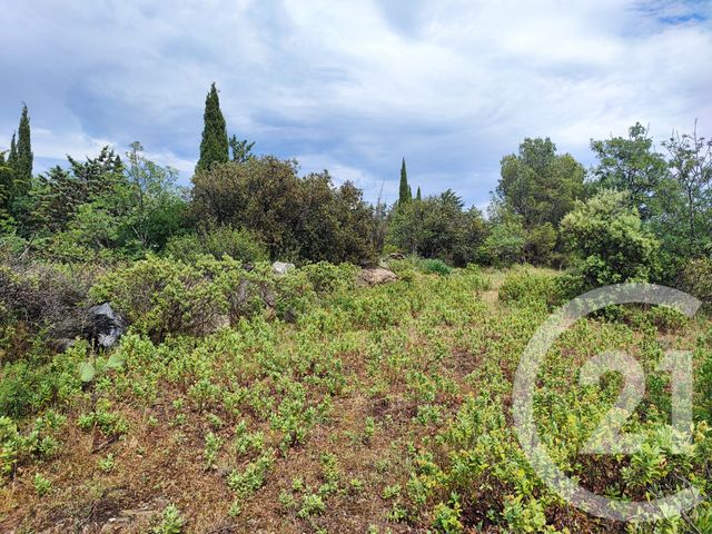 terrain à vendre - 1013.0 m2 - FELINES MINERVOIS - 34 - LANGUEDOC-ROUSSILLON - Century 21 Agence Du Canal